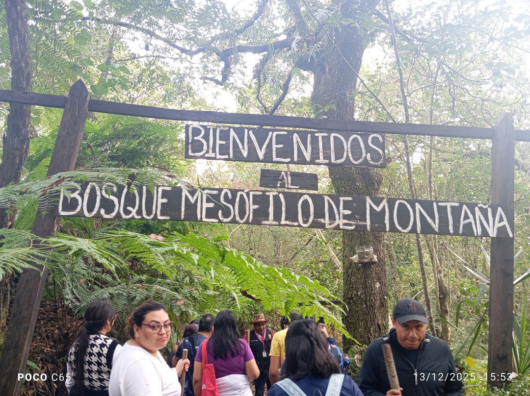 El Catador Tour del Cafe & Catacion-Xicotepec必去景点