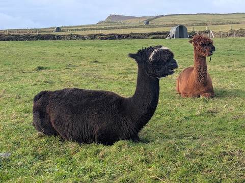 Aníar Executive Travel-基拉尼必去景点