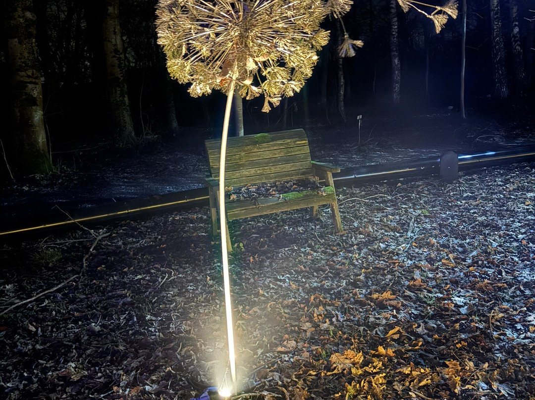 Heritage Wood-阿什伯恩必去景点