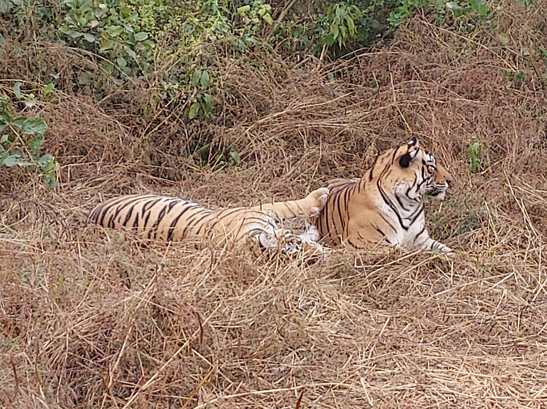 Ranthambore National Park-Ranthambore National Park必去景点