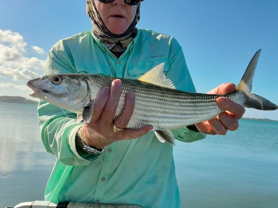 Antigua Fly Fishing Charters-安提瓜必去景点