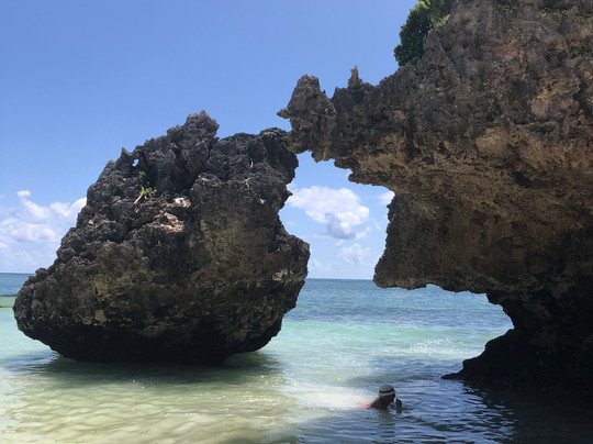 Petit tours Zanzibar-石头城必去景点