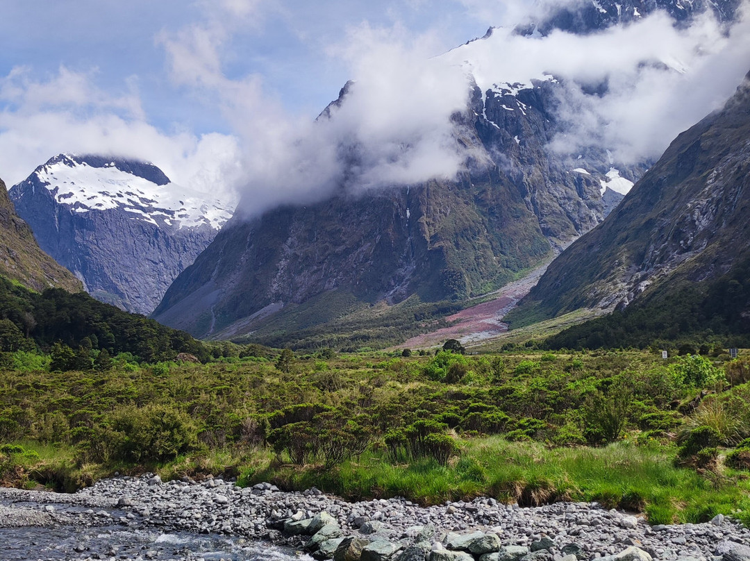 Kiwi Experience-奥克兰中心地区必去景点