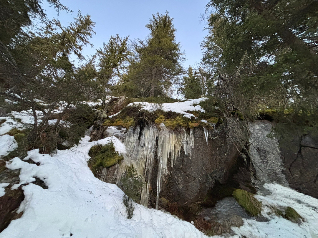 Sigdal Aktiv-Eggedal必去景点