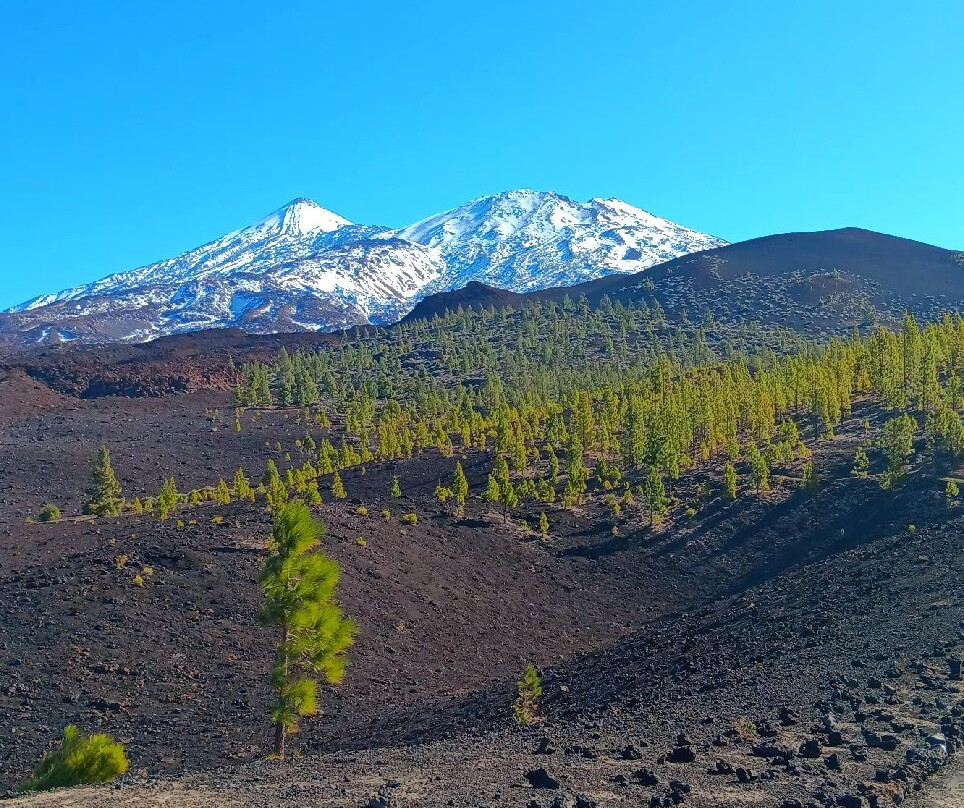 Mirador de Samara-Guia de Isora必去景点