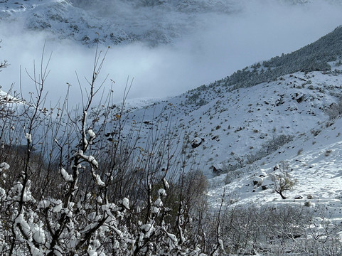 Yak Travel-卢顿必去景点
