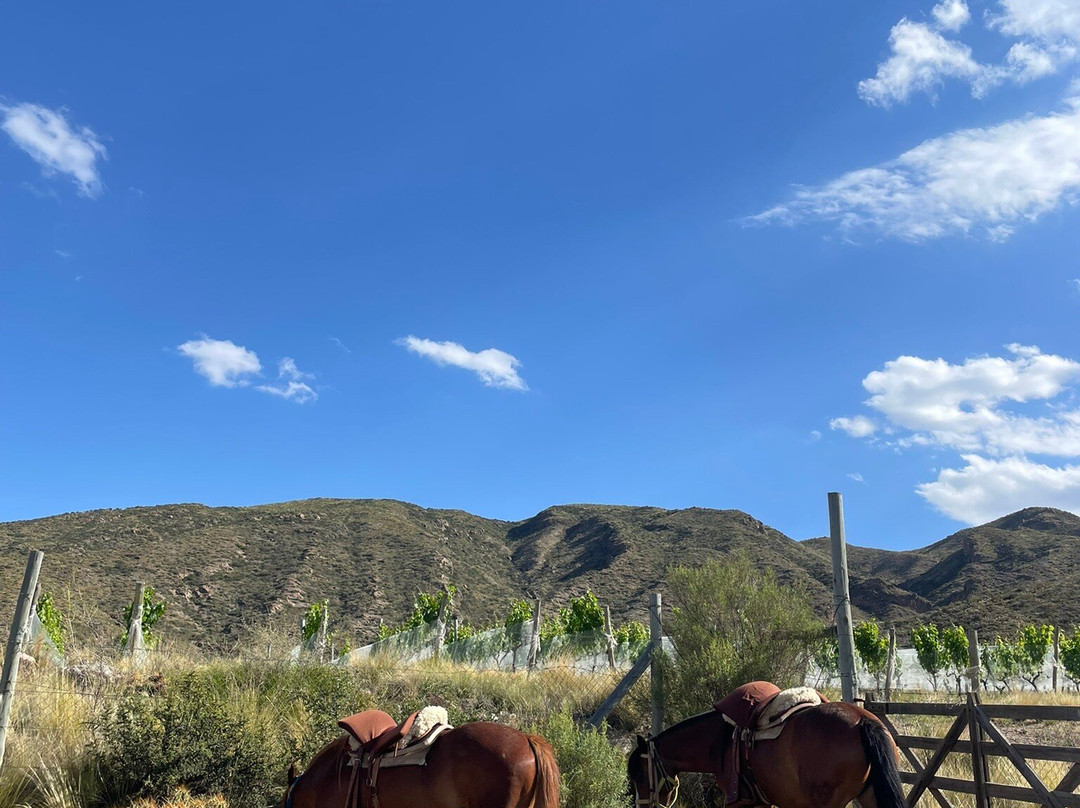 San Ignacio Estancia Andina主图