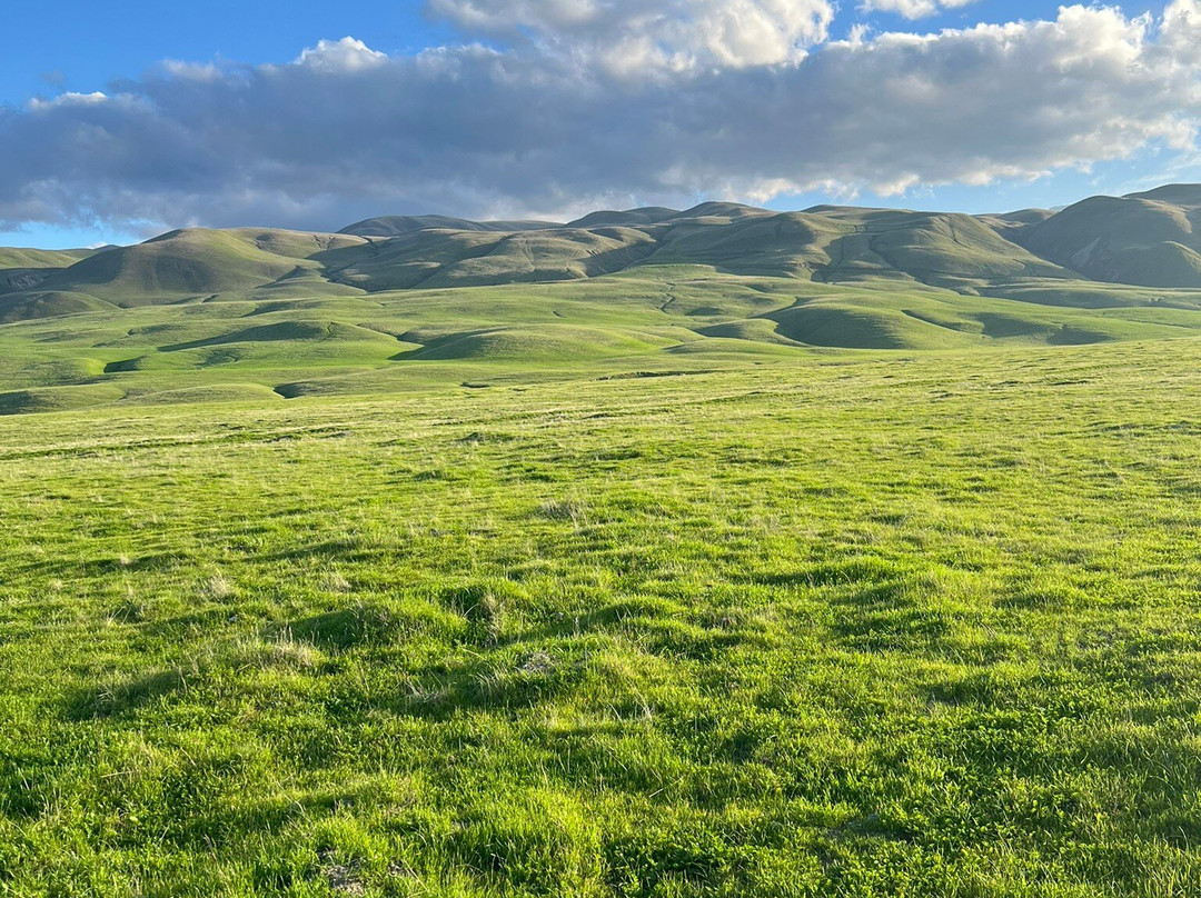 Wind Wolves Preserve-贝克斯菲尔德必去景点