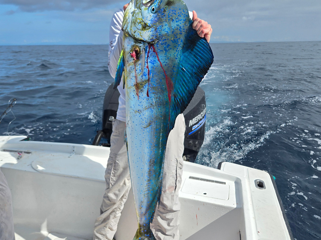 Bahia Rica Fishing and Kayak Lodge主图