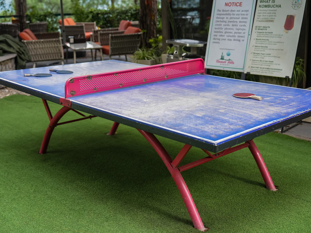 Kasauli Hills Resort主图