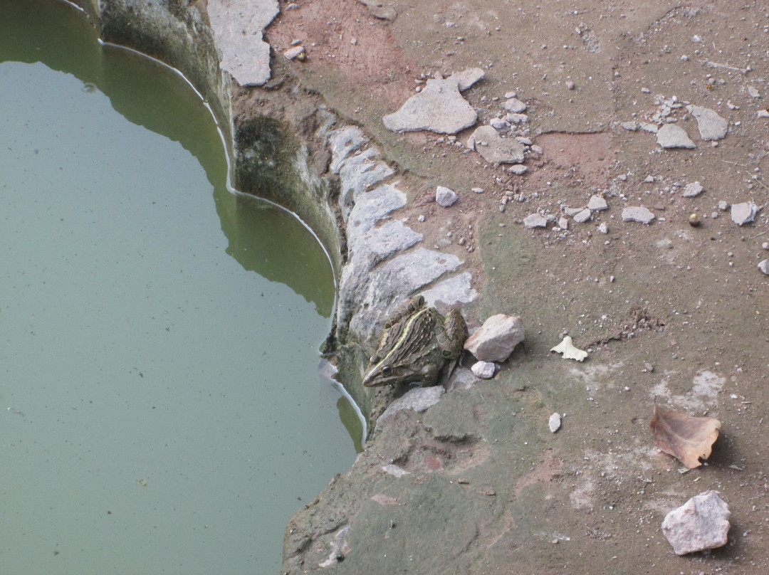 Maharaja Ranjit Singh Museum-阿姆利则必去景点