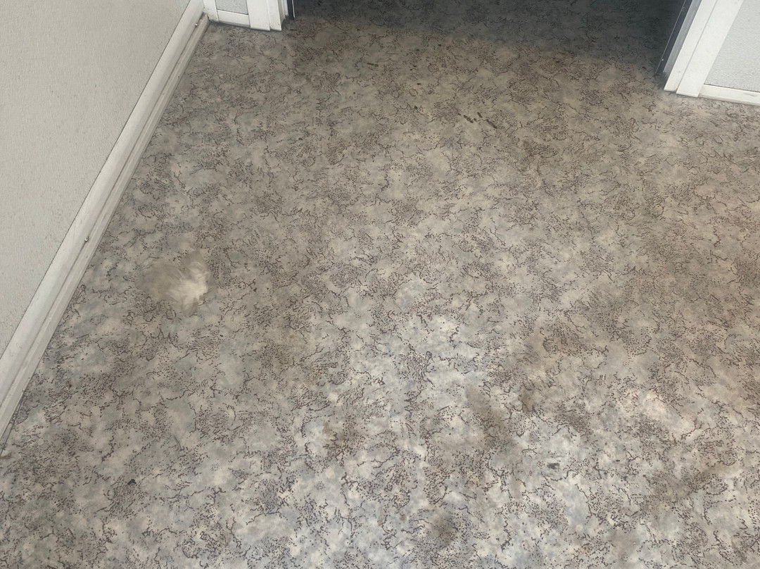 Puerto Algeciras-阿尔赫西拉斯必去景点