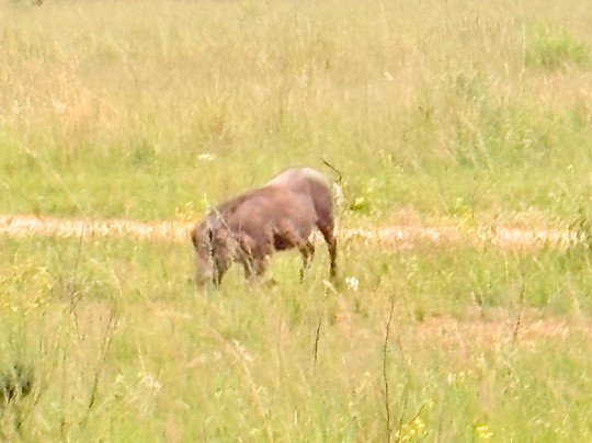Loisico Tours and Excursions-Bloubergstrand必去景点