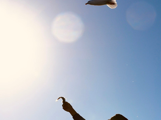 Agadir Golden Trip Official-阿加迪尔必去景点