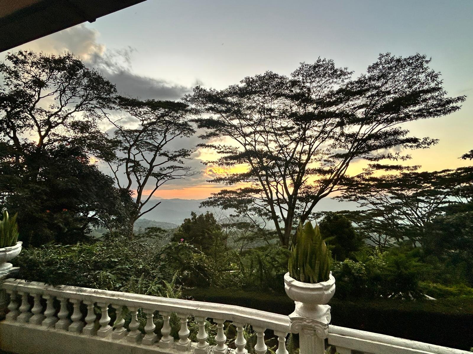 Ashburnham Estate-官方