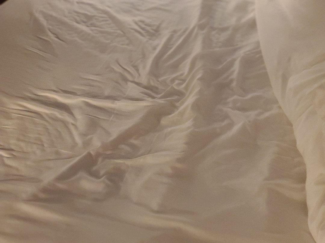 The Lodge Lake Chelan主图