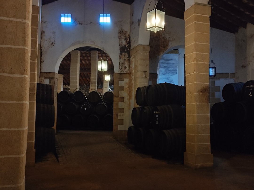 Bodegas Tradicion-赫雷斯德拉弗隆特拉必去景点