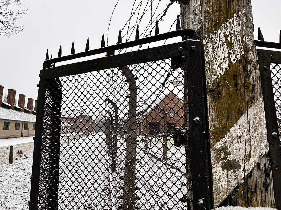 Boni Guia Cracovia-克拉科夫必去景点