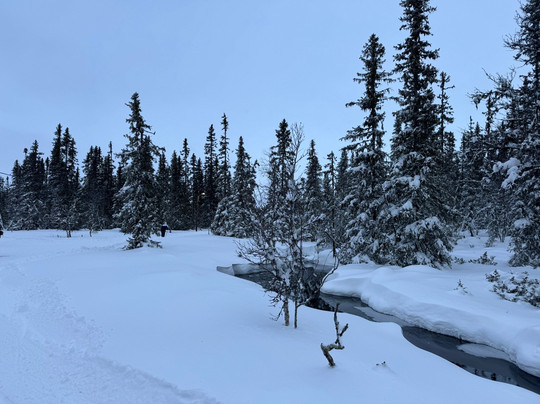 Lövåsgårdens Fjällhotell主图