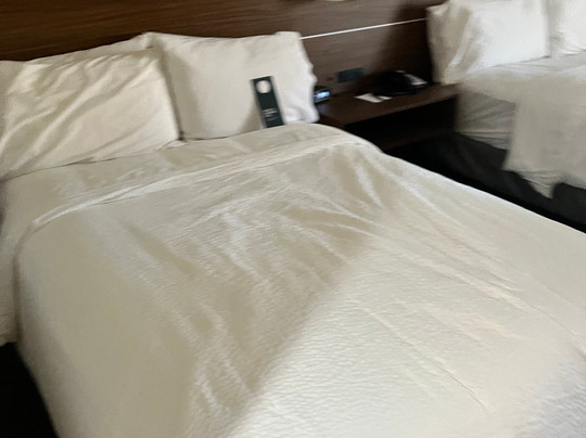 Holiday Inn Express Harlingen by IHG主图