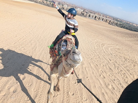 Fb Stables-吉萨必去景点