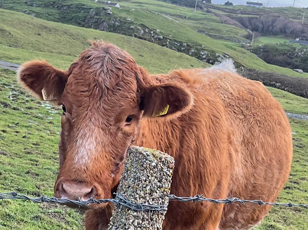 Fanad Head Lighthouse-County Donegal必去景点