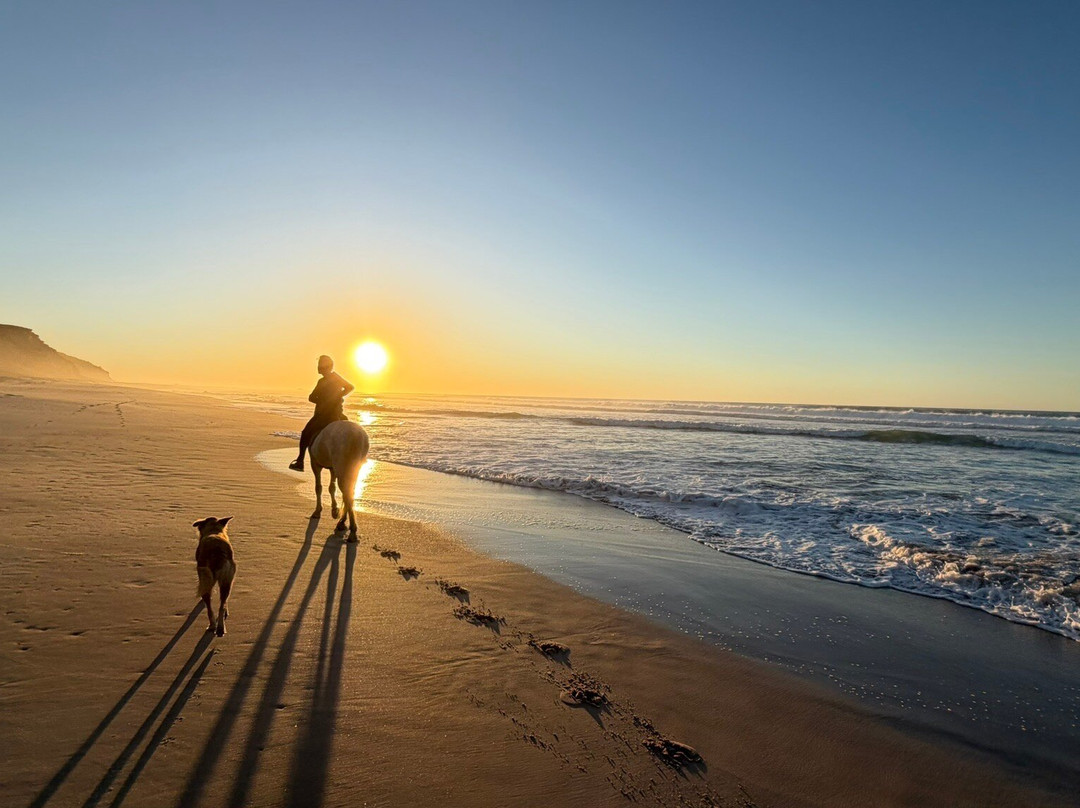 Ranch Des Dunes-达赫拉必去景点