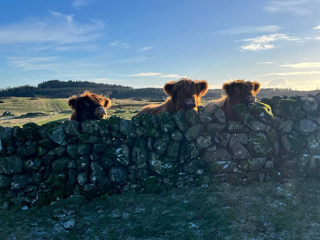 Kitchen Coos & Ewes-New Luce必去景点