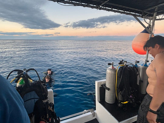 Scuba Life Cozumel-San Miguel de Cozumel必去景点
