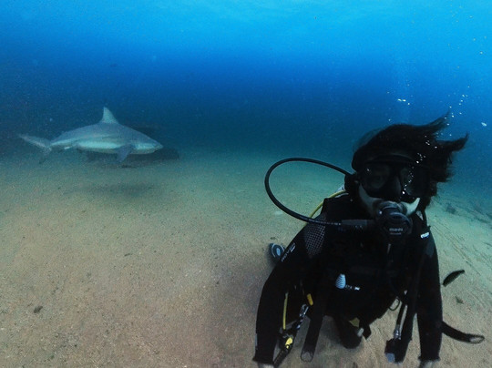 Cabo Pulmo Travel-Cabo Pulmo必去景点