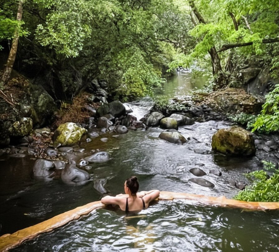 Parque Nacional Rincón de la Vieja-瓜纳卡斯特省必去景点
