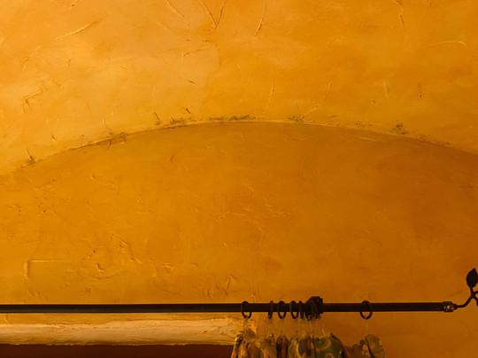 斯科尼霍夫酒店主图