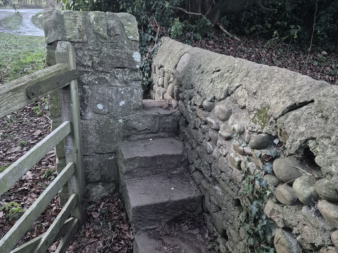 Piercebridge Roman Fort & Bridge-Piercebridge必去景点
