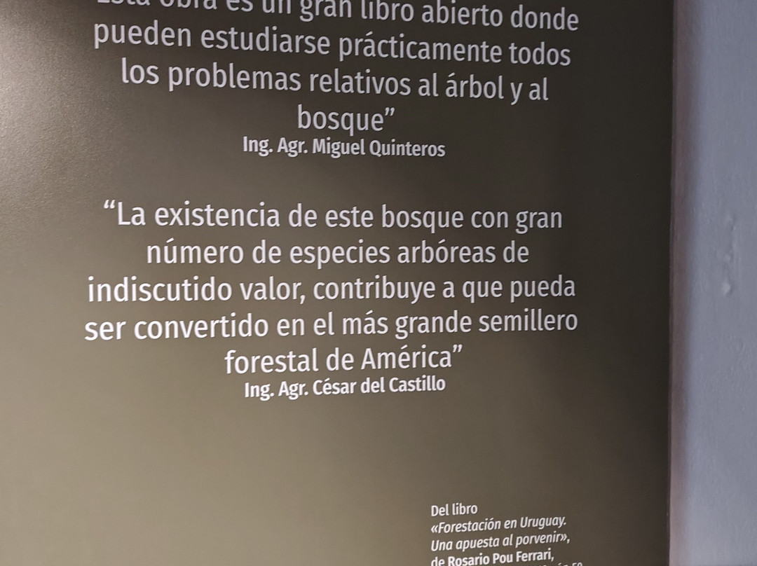 Arboretum Lussich-埃斯特角城必去景点