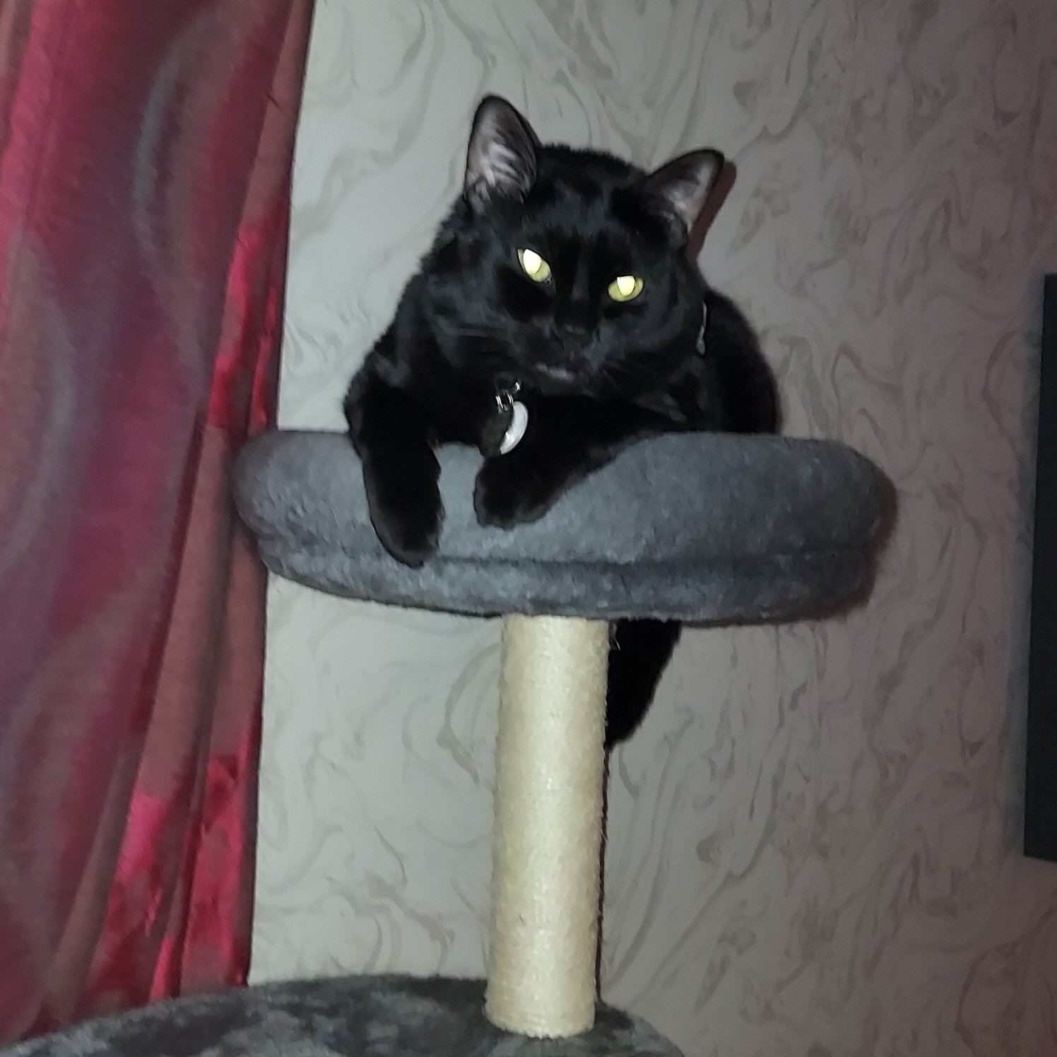 Home2 Suites by Hilton Rochester Greece-官方