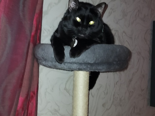 Home2 Suites by Hilton Rochester Greece主图