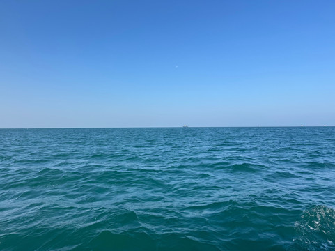 Flyingfish Scuba School-加兰古特必去景点