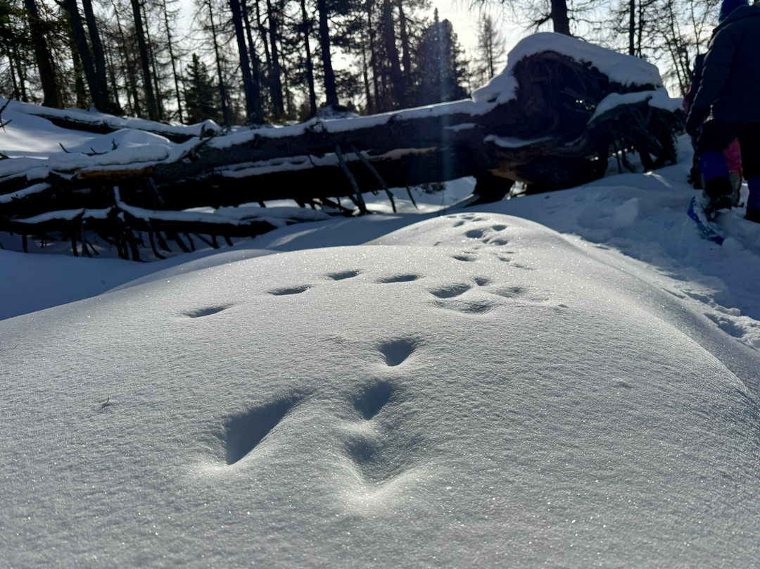 Experience Wilderness-恩斯必去景点