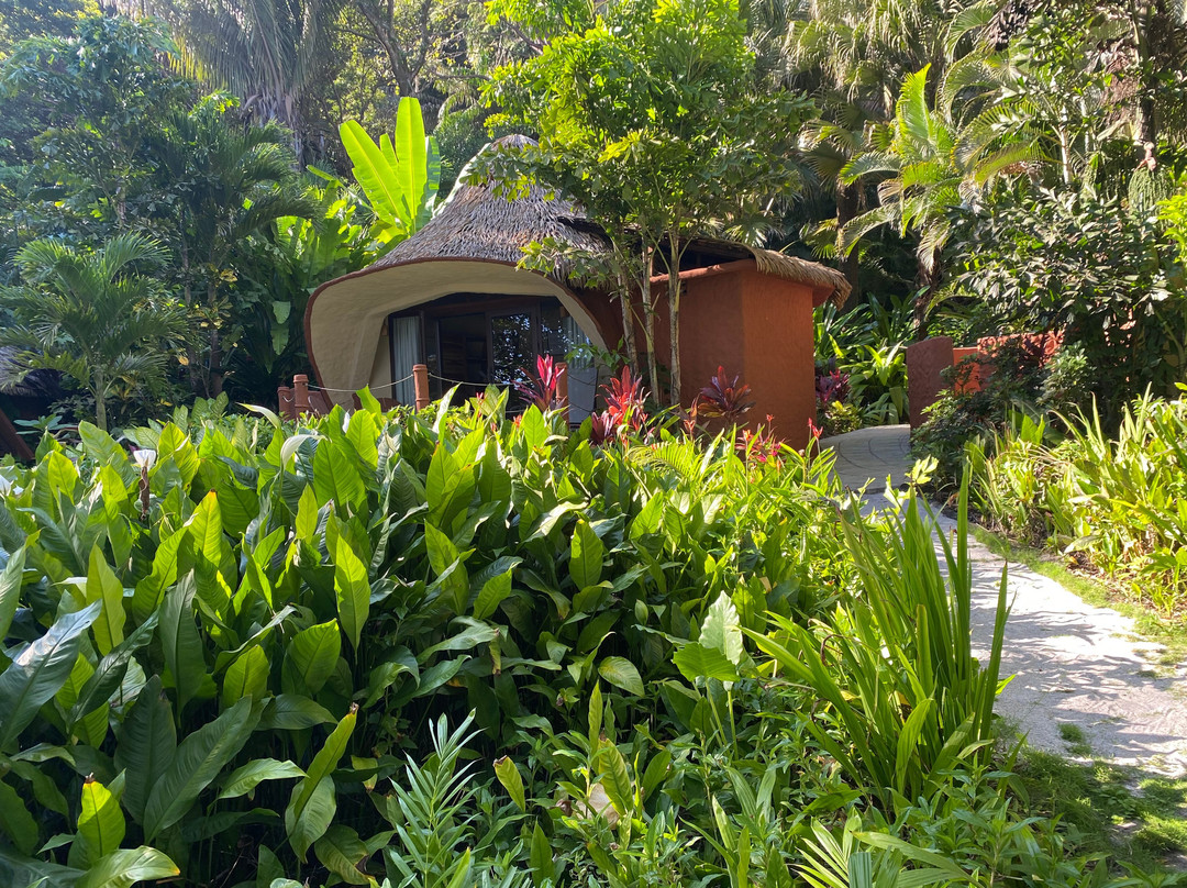 Ylang Ylang Beach Resort主图