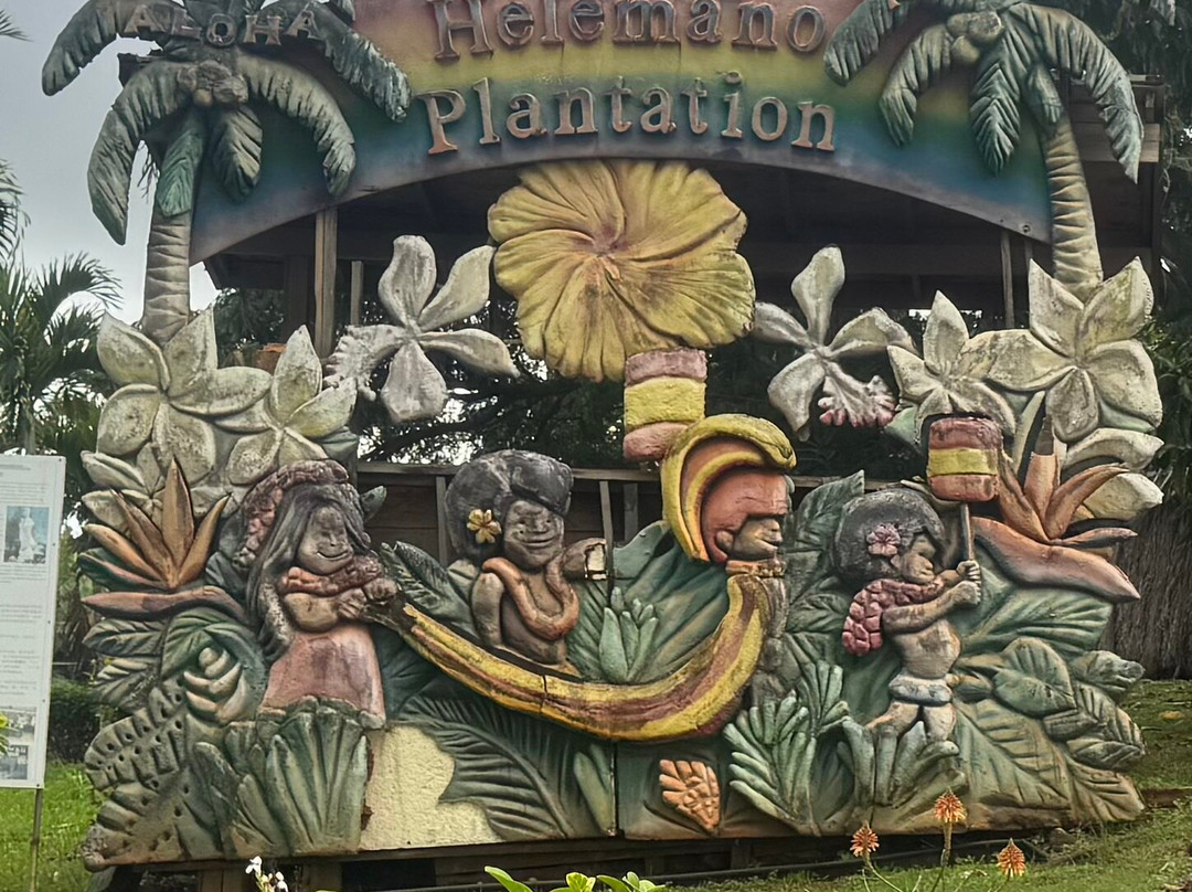 ALLSTAR TRANSPORTATION & TOURS LLC-瓦胡岛必去景点