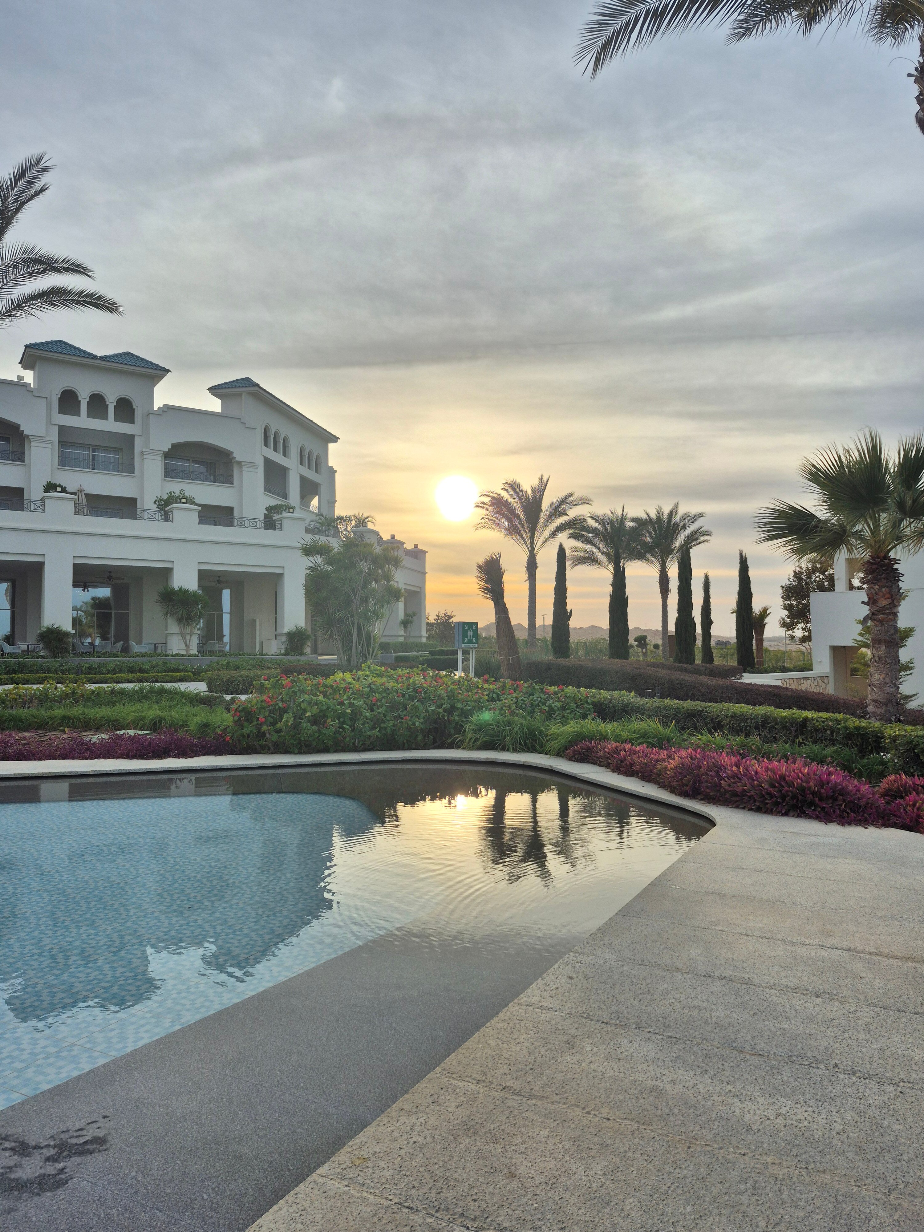 Cleopatra Sidi Heneish-官方