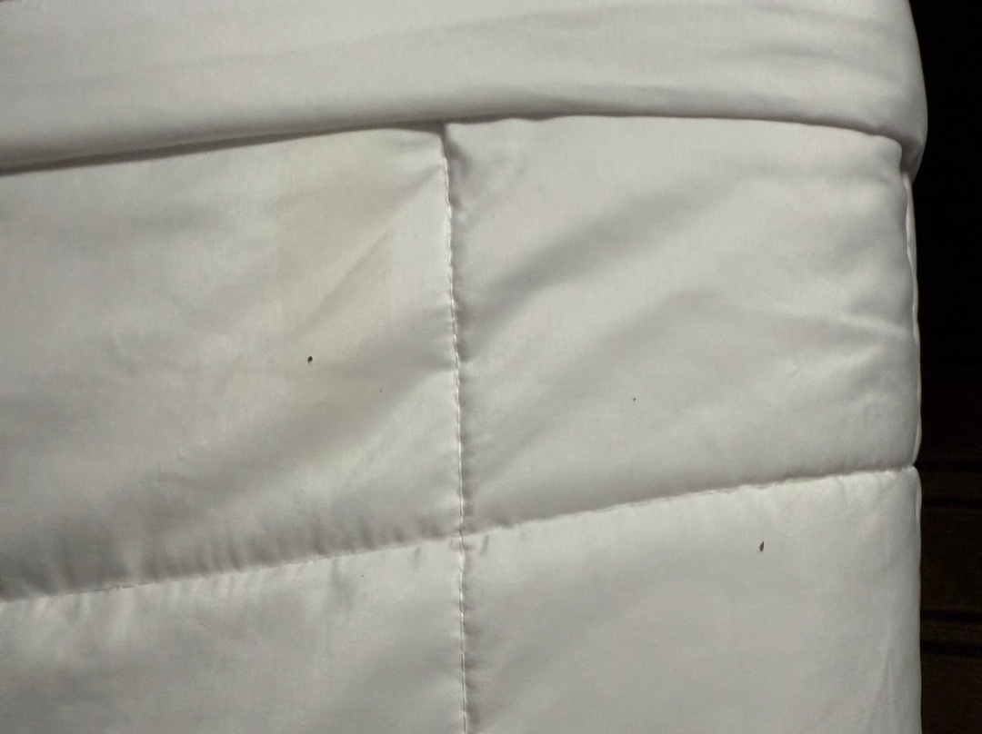 贝克利Travelodge by Wyndham酒店主图