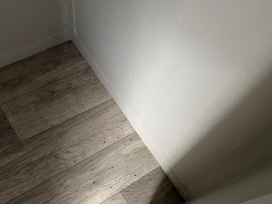 Resort at Canopy Oaks主图