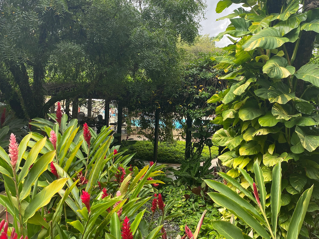 Hotel Estelar Altamira主图