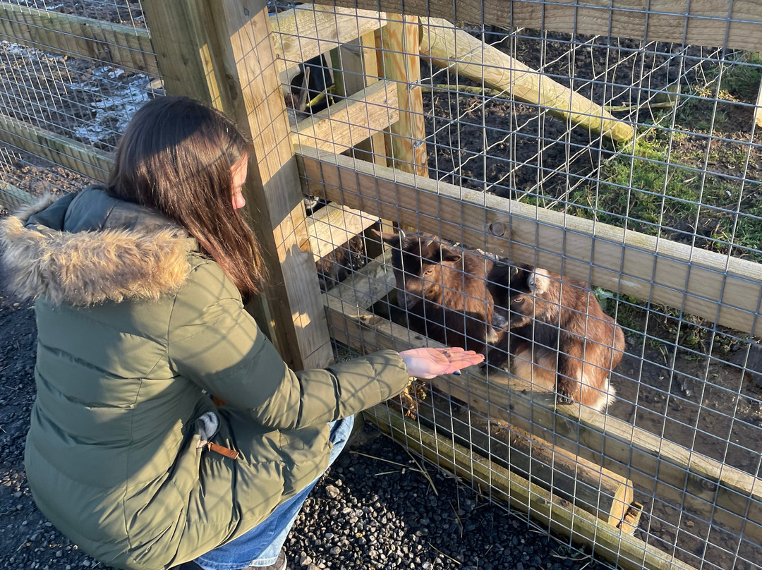 Bridlington Animal Park-布里德灵顿必去景点