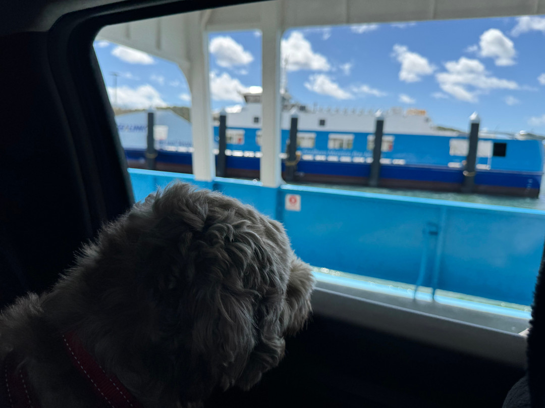 SeaLink South East Queensland-克利夫兰必去景点