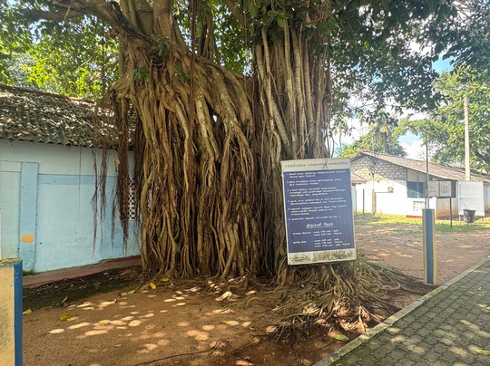 Indika Travel and Tourism Sri Lanka-Kadawata必去景点