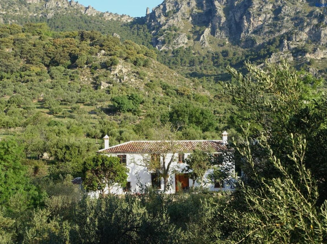 Betania
