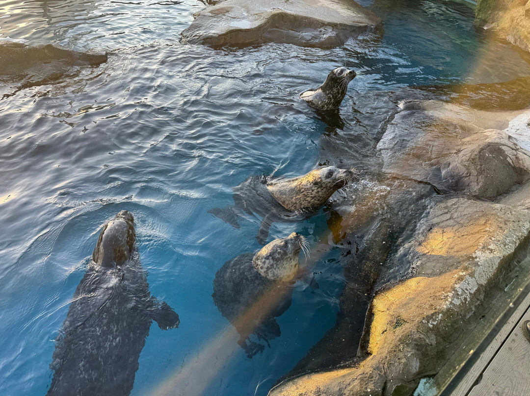 Sea Life Scarborough-斯卡伯勒必去景点