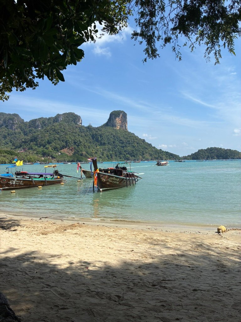 瑞亚维德度假村-官方